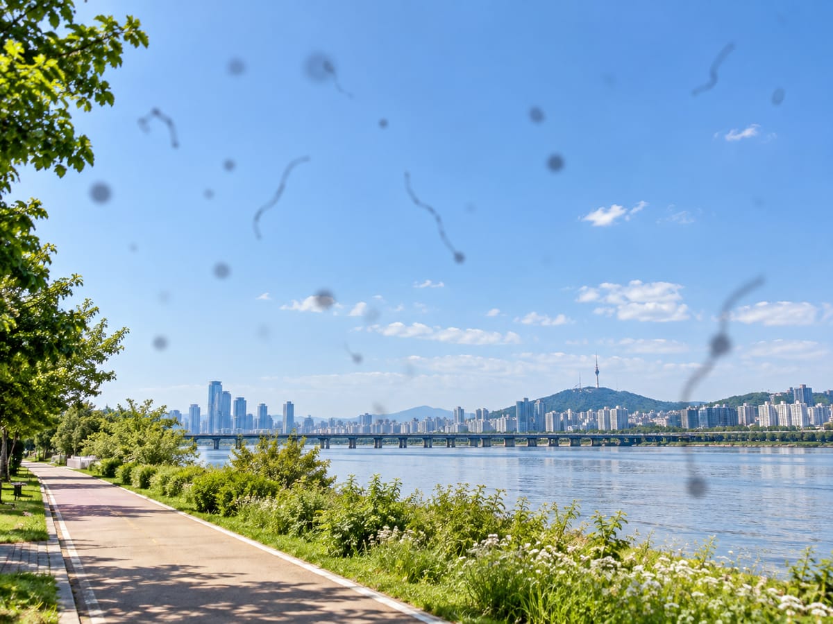 비문증 증상 — 하늘에 점과 실 모양이 떠다니는 강변 풍경