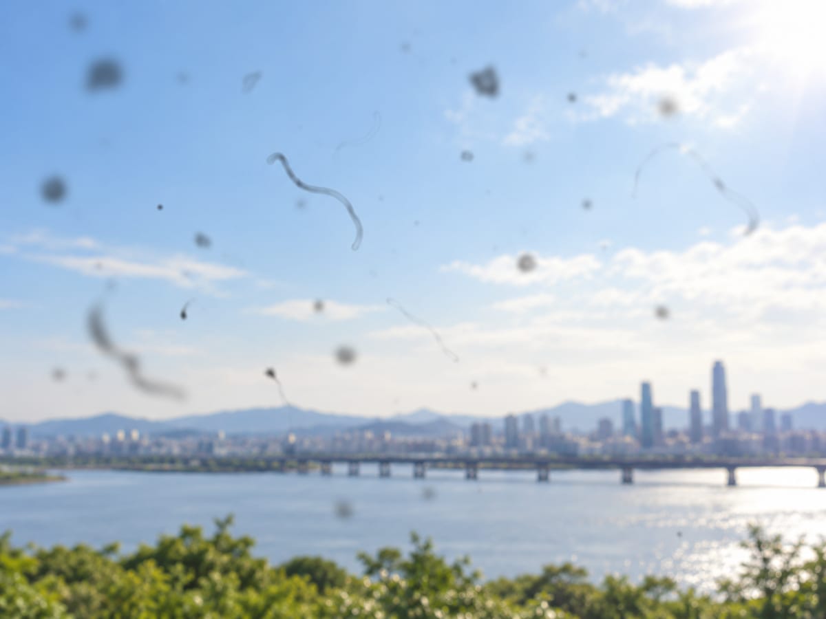 비문증 증상 — 시야에 떠다니는 점과 실 모양